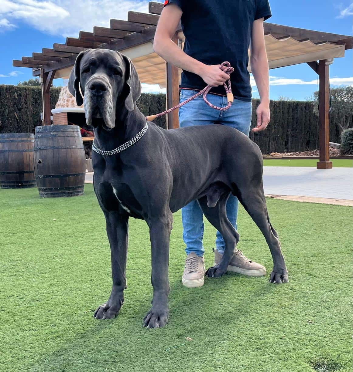 San Roque Veterinarios