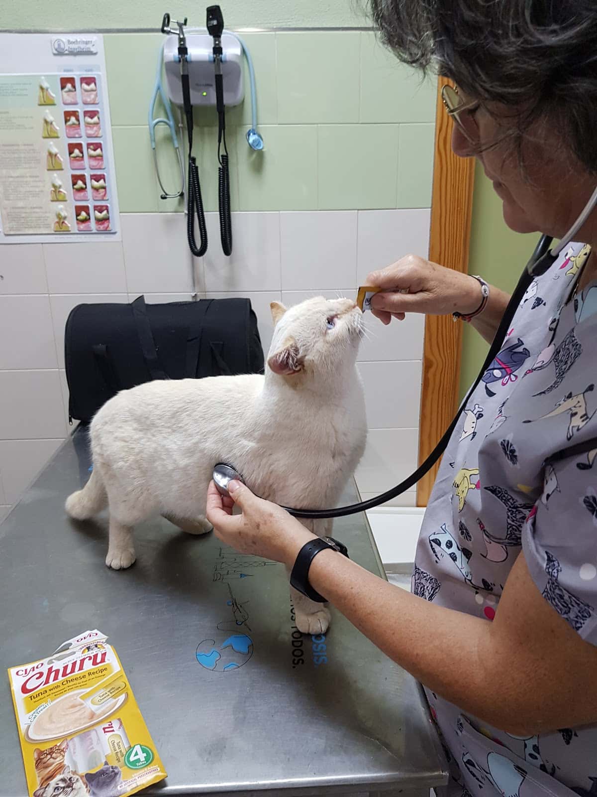 Clinica Veterinaria CeuVet