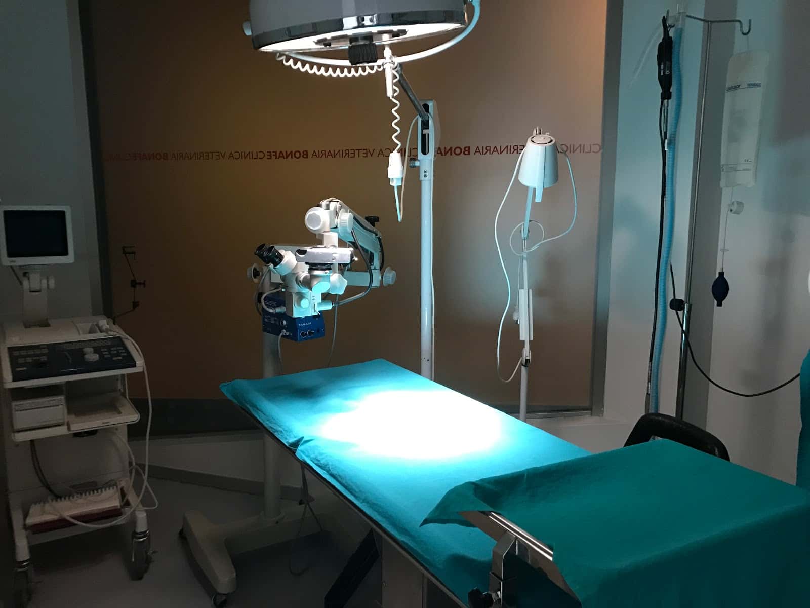 Clínica Veterinaria Bonafé