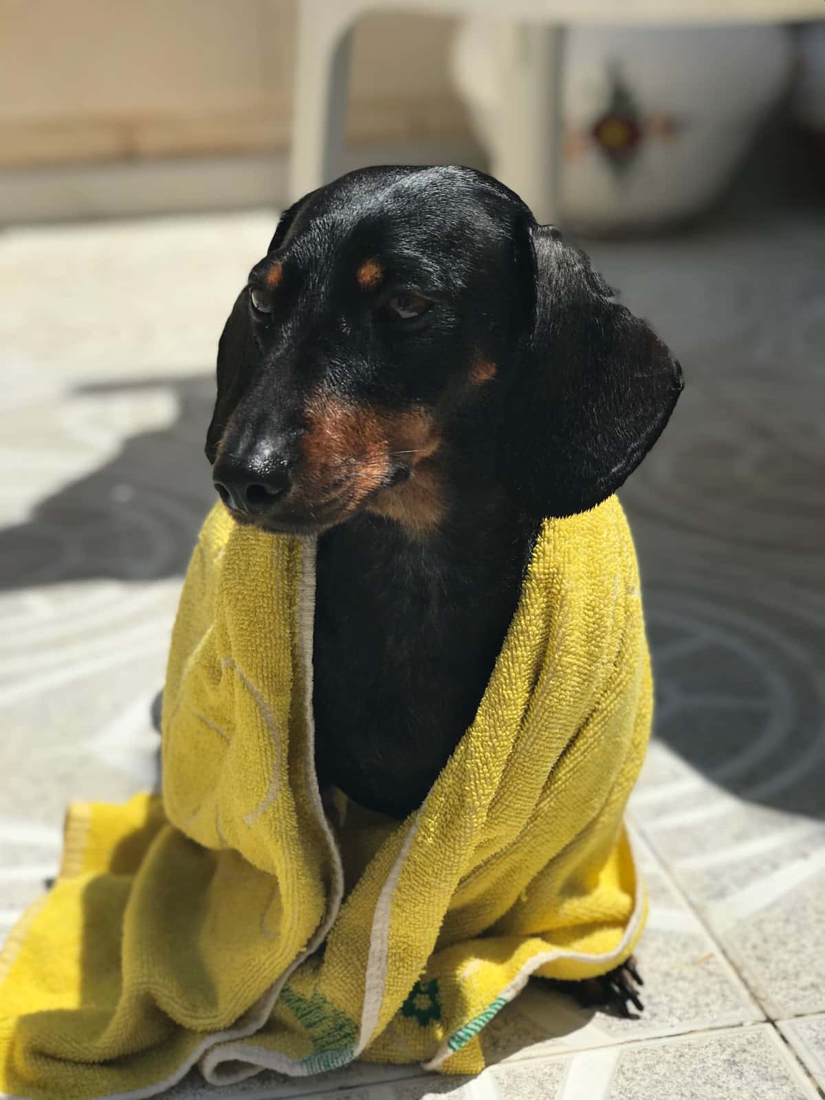Clínica Veterinaria Bonafé