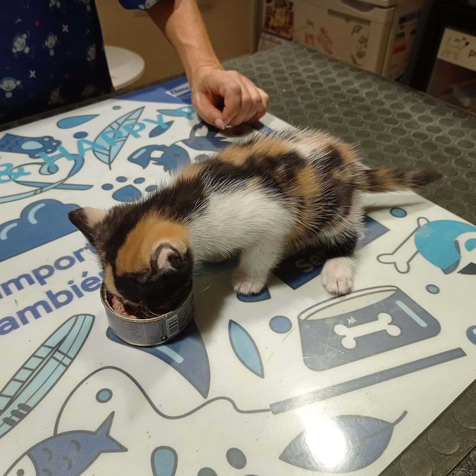 Centro Veterinario las Torres