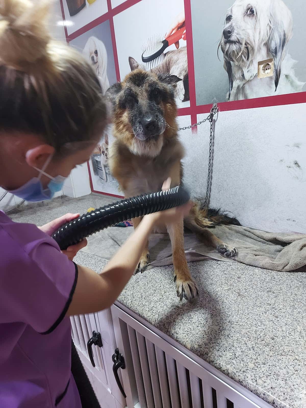 Clínica Veterinaria Zarpas