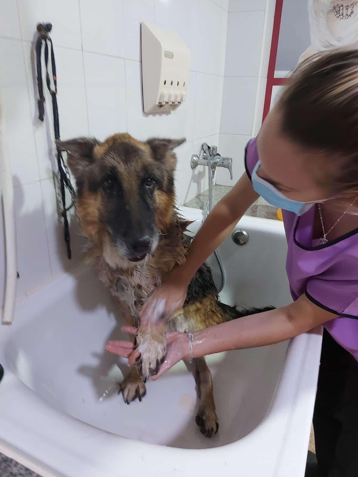 Clínica Veterinaria Zarpas