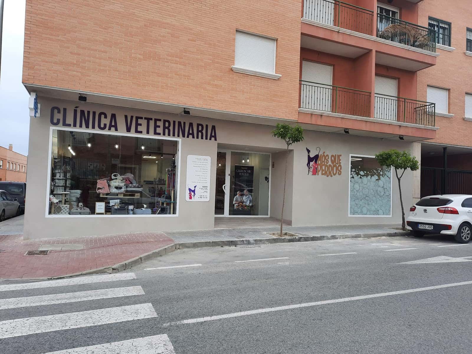 mas que perros veterinario centro en sangonera la verde en murcia principalImage ADOPTA Sitios Pet Friendly