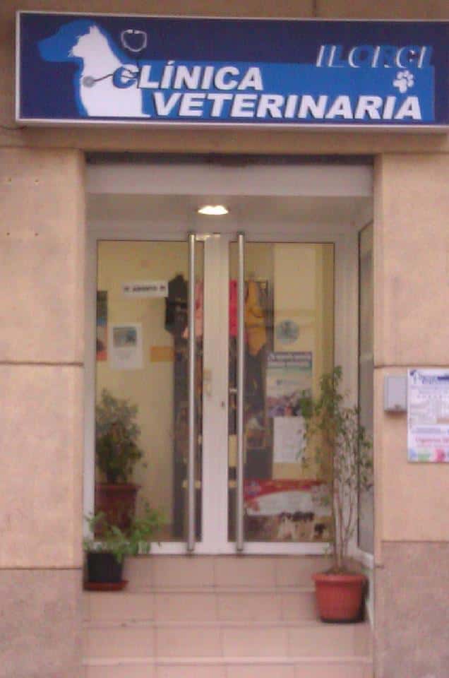 clinica veterinaria ilorci veterinario clinica en lorqui en murcia principalImage ADOPTA Sitios Pet Friendly