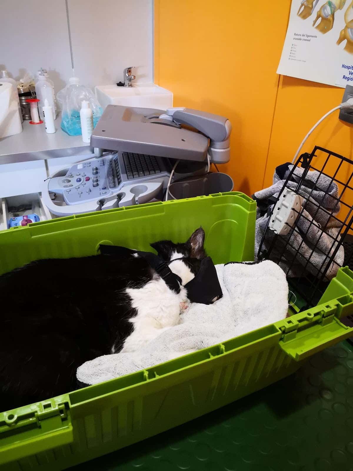 Clínica Veterinaria La Paz