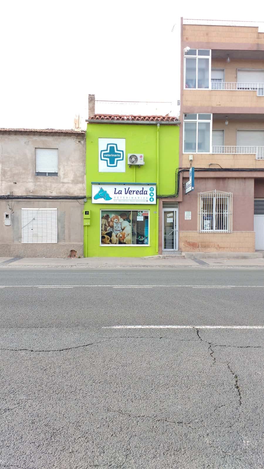 la vereda veterinarios veterinario centro barrio murcia en murcia en murcia photo undefined ADOPTA Sitios Pet Friendly