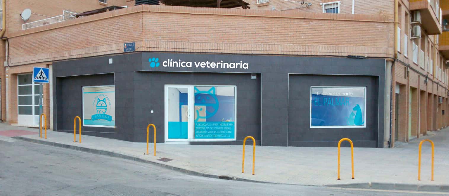 veterinario en el palmar   clinica veterinaria el palmar veterinario clinica en l3 en murcia principalImage ADOPTA Sitios Pet Friendly