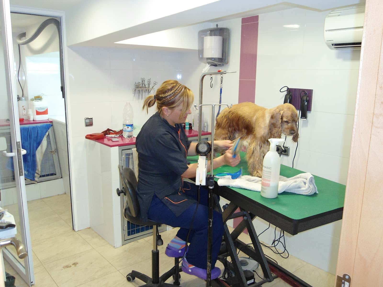 Cliper's Clinica Veterinaria