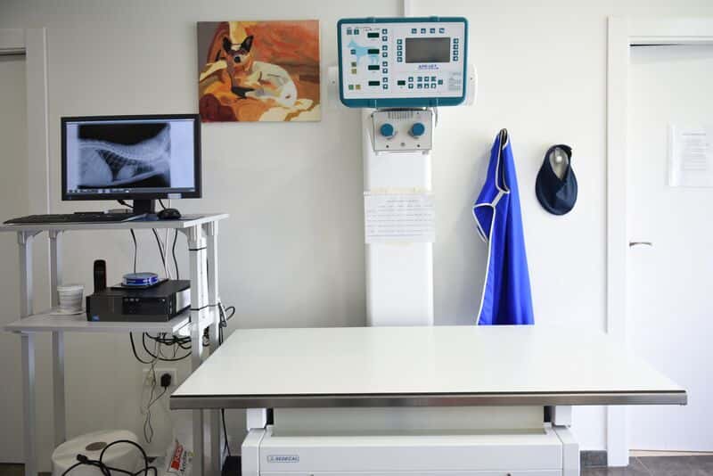 Centro Veterinario Dado
