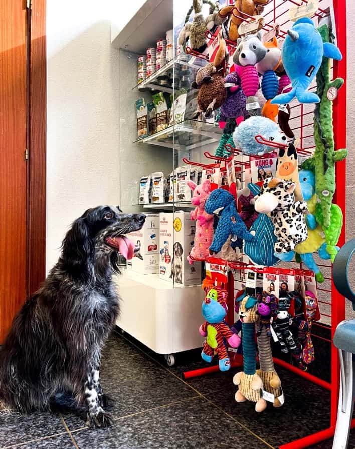 Clínica Veterinaria Pets Barajuan - Vitoria