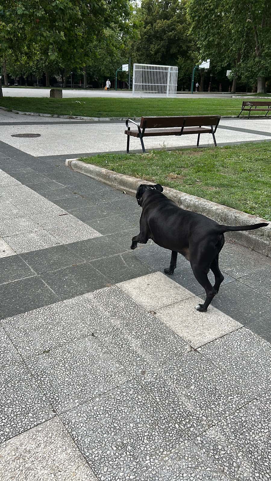 Clínica Veterinaria Nueva Santa Bárbara