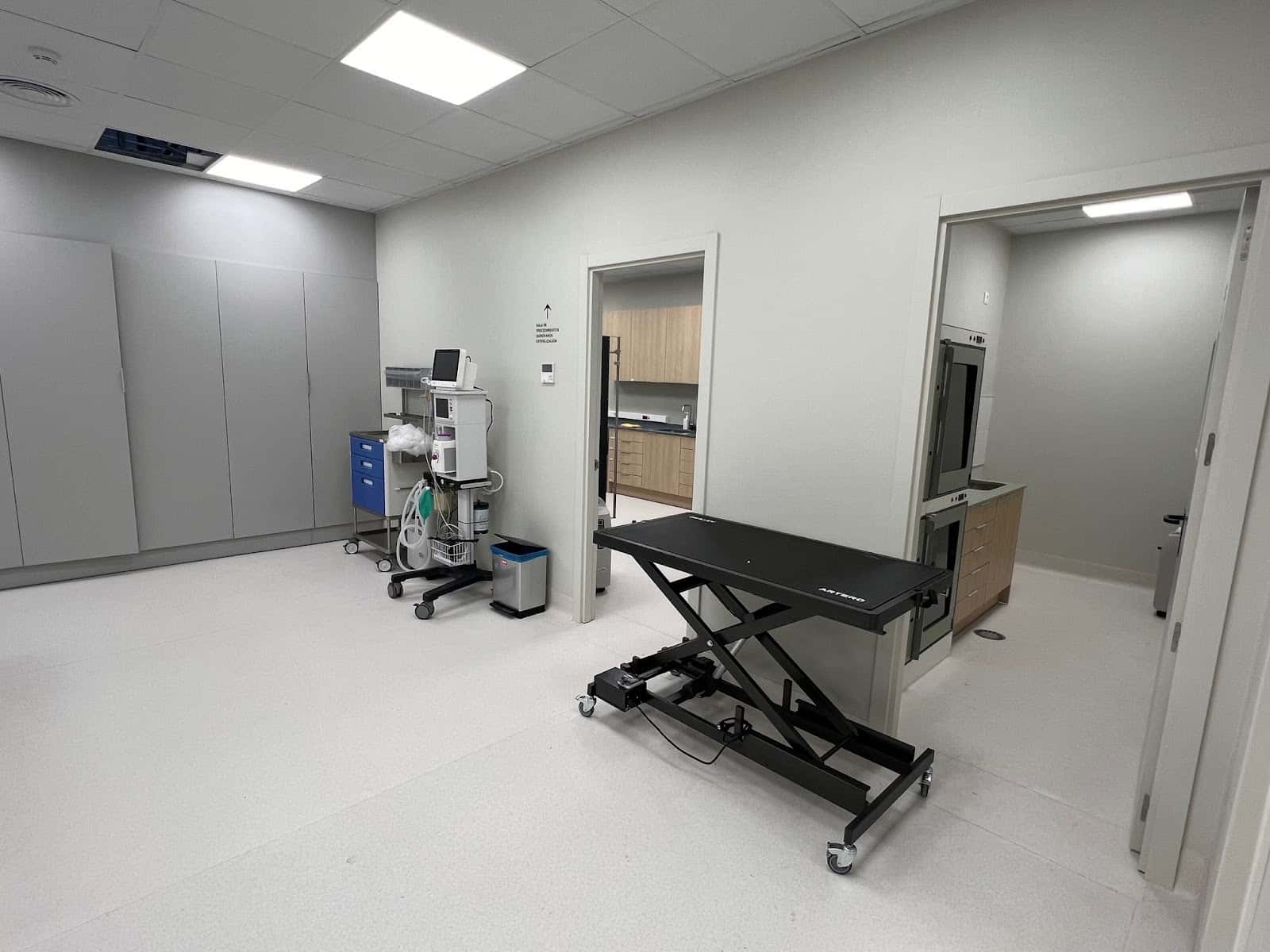Hospital Veterinario Gasteiz
