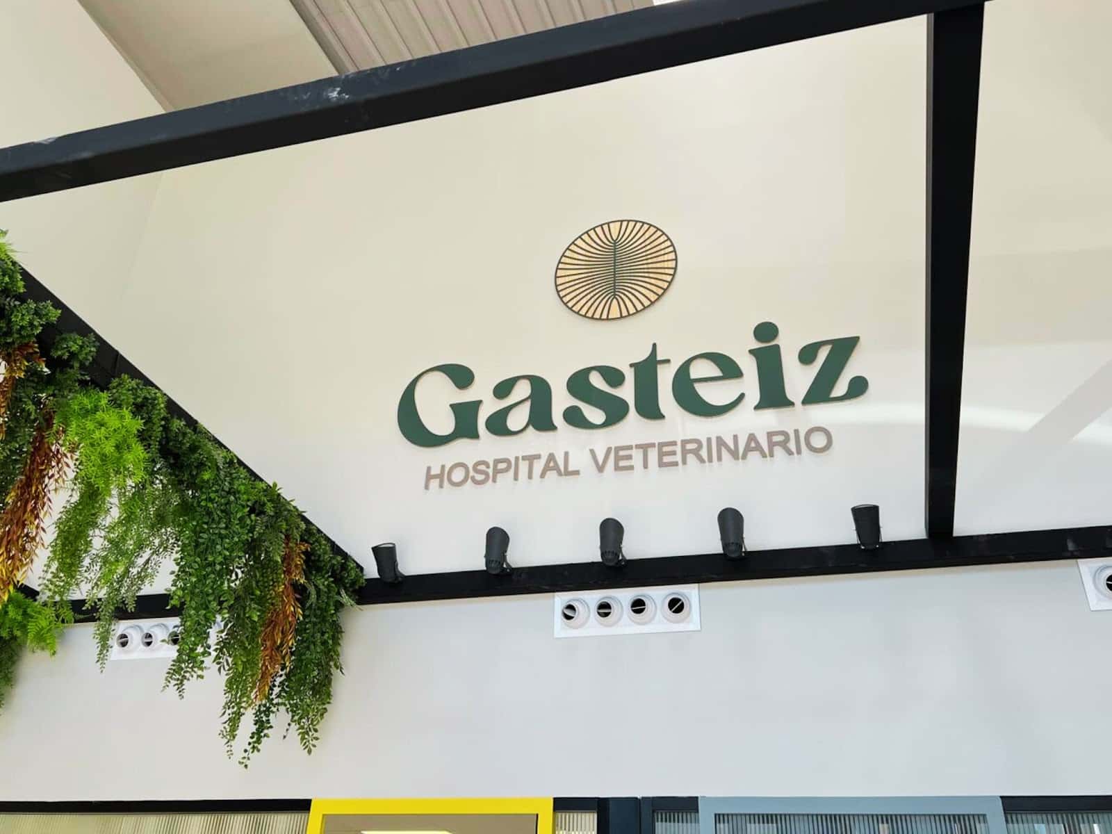 Hospital Veterinario Gasteiz