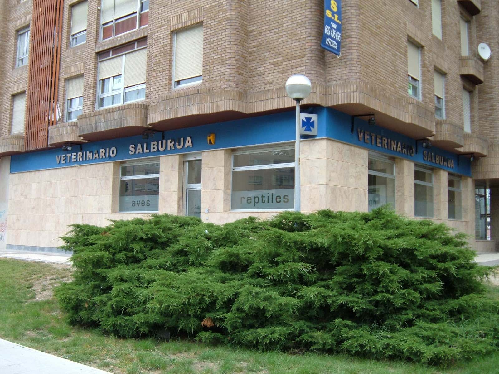 Veterinaria Salburua - Wecan Salburua