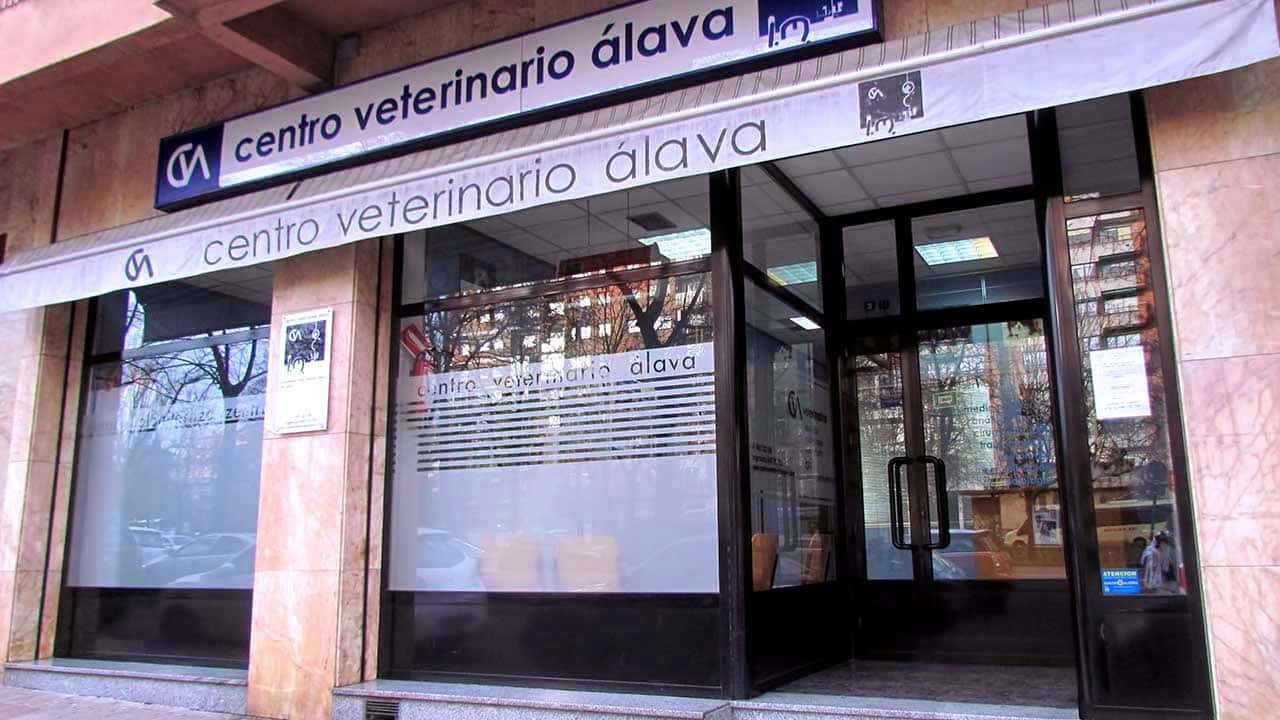 Centro Veterinario Álava