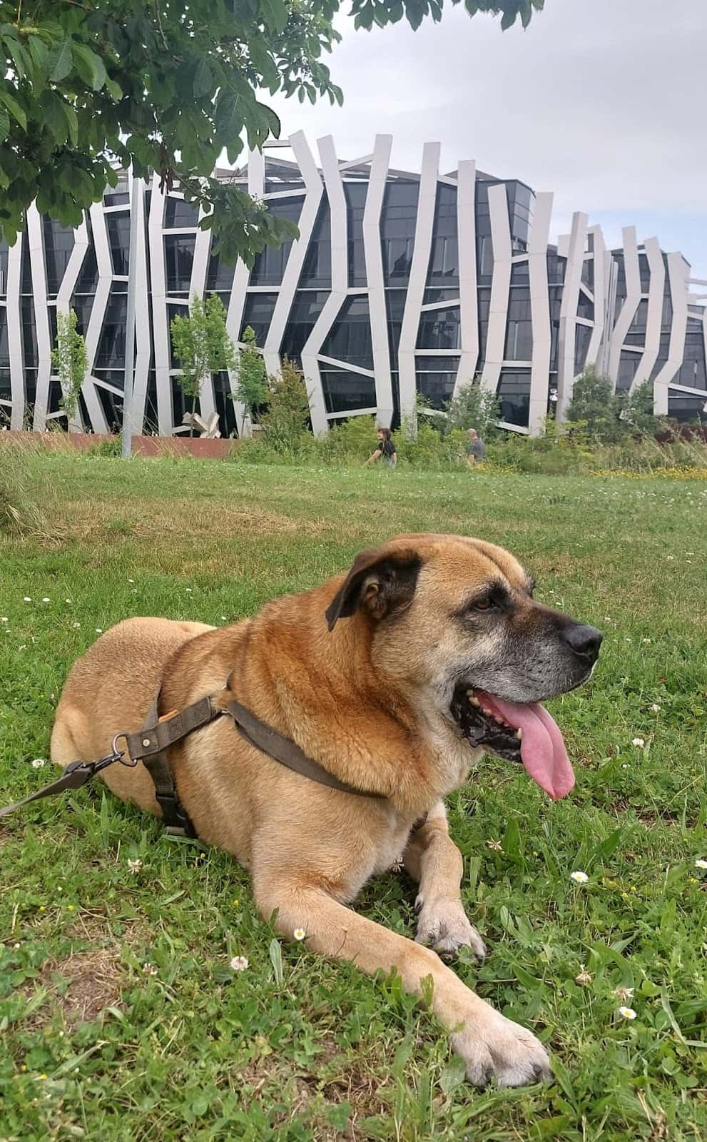 Centro Veterinario Álava
