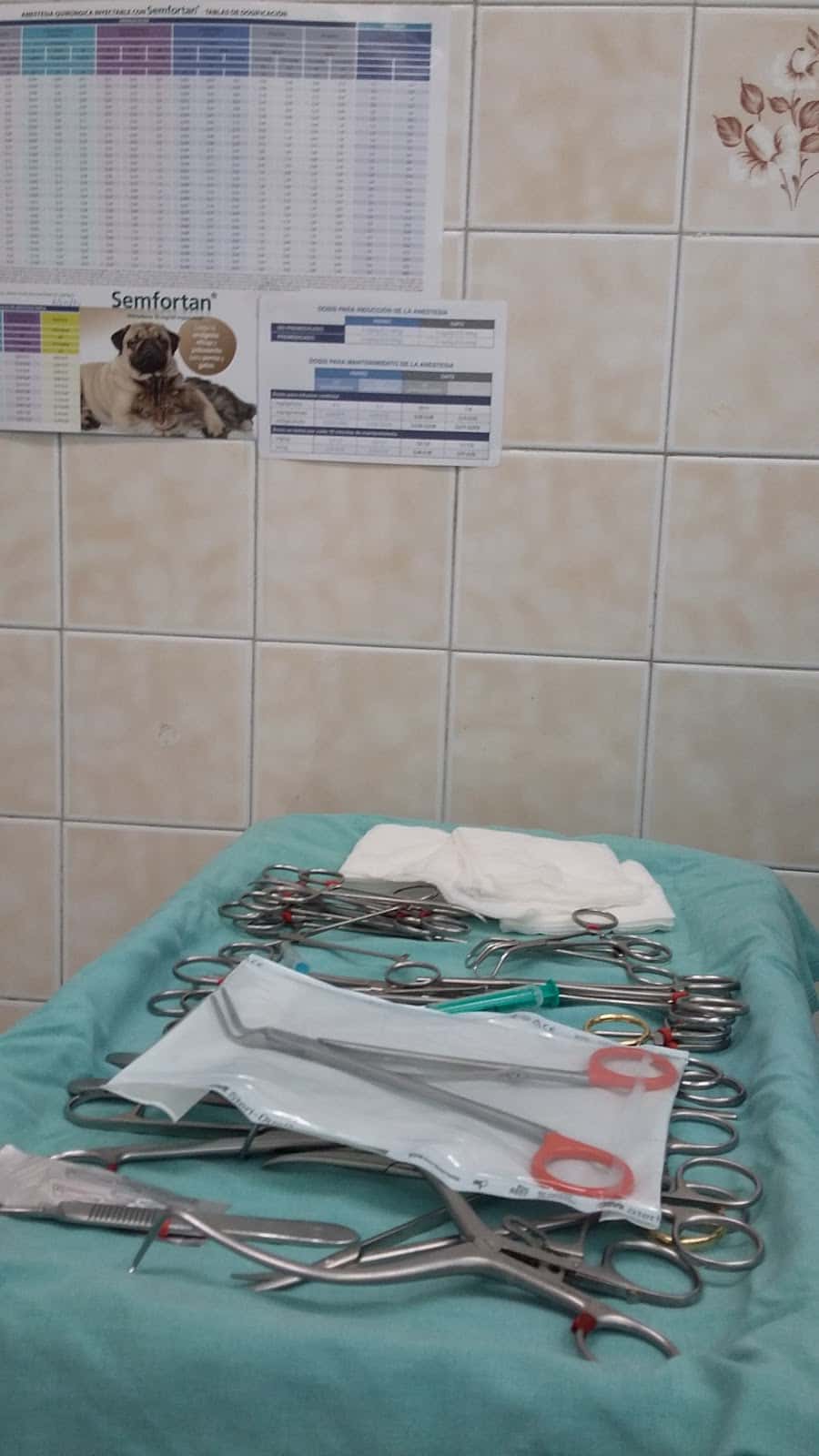 Centro Veterinario Lakua