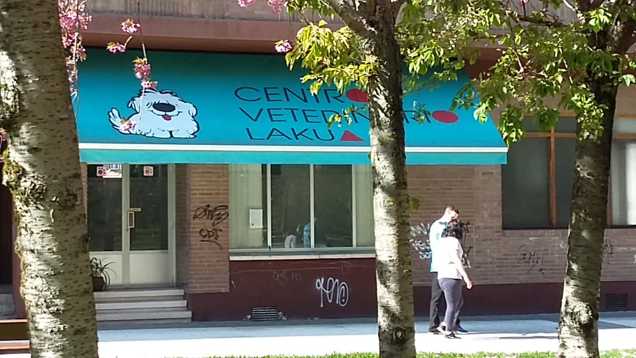 centro veterinario lakua veterinario centro en gasteiz en araba principalImage ADOPTA Sitios Pet Friendly