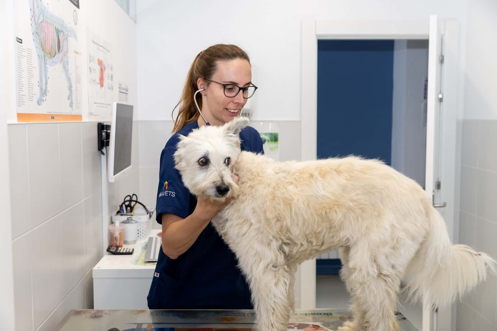 Clínica Veterinaria Irubide