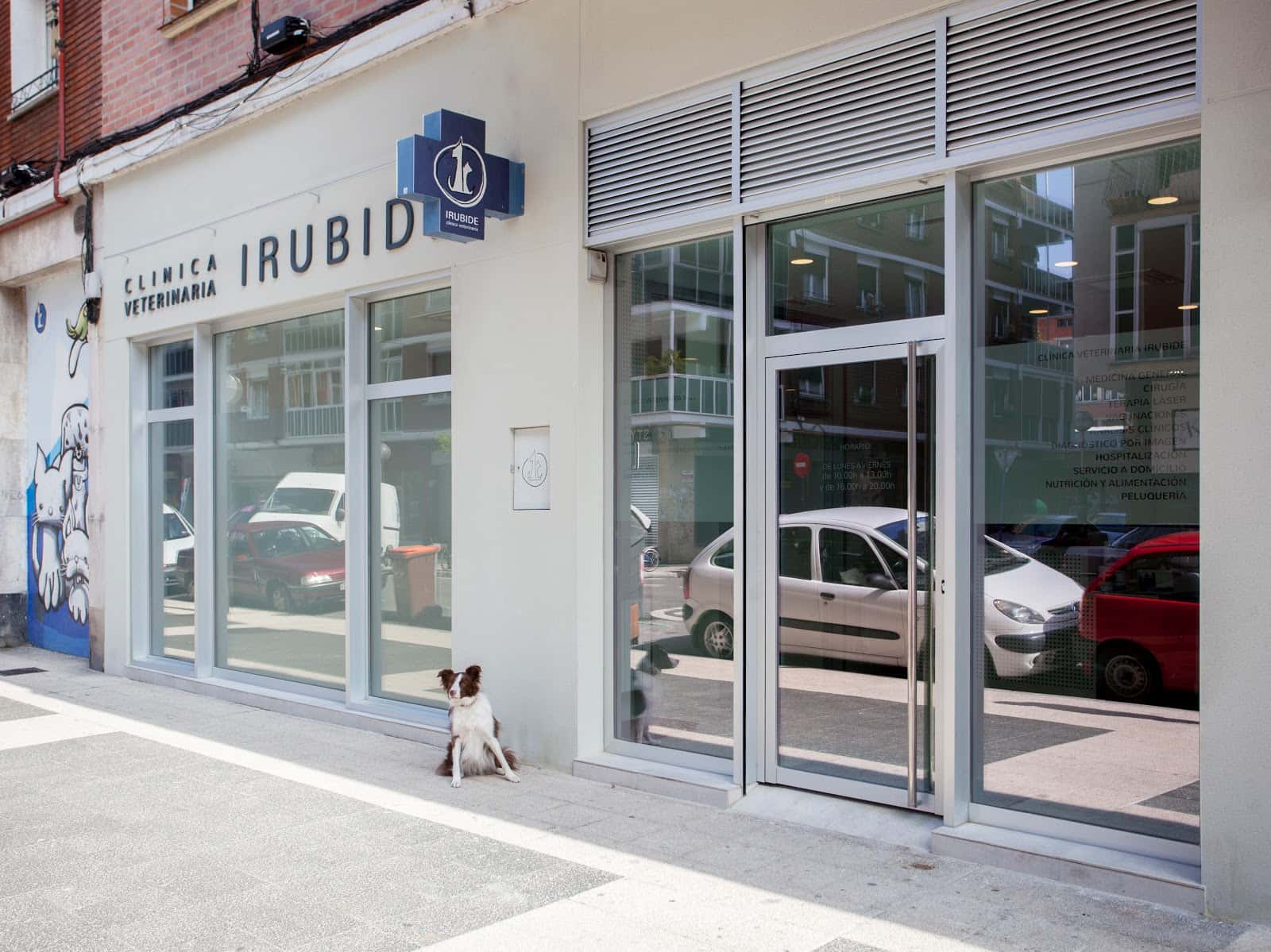 clinica veterinaria irubide veterinario clinica en vitoria gasteiz en alava principalImage ADOPTA Sitios Pet Friendly