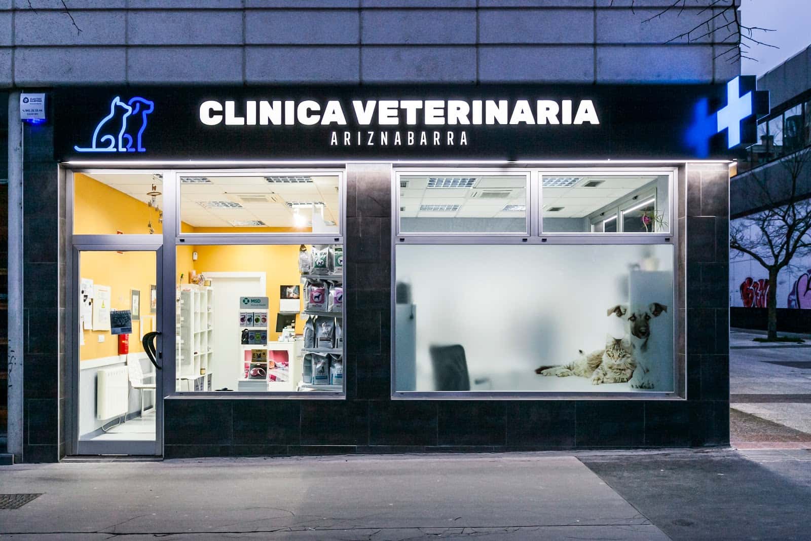 clinica veterinaria ariznabarra veterinario clinica en gasteiz en araba principalImage ADOPTA Sitios Pet Friendly