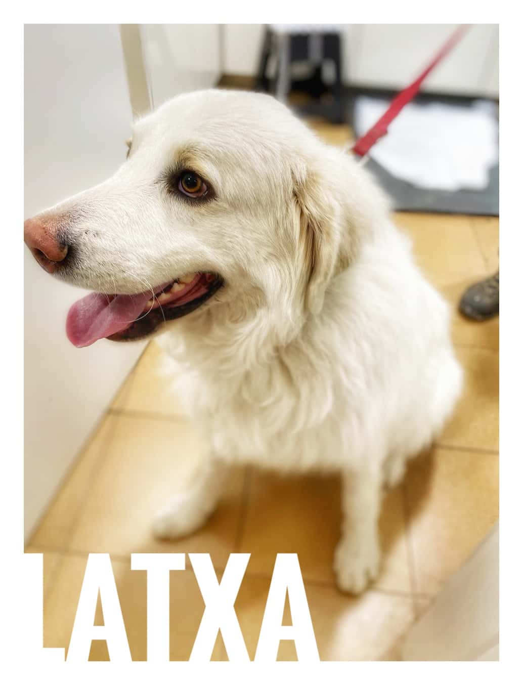 Clínica Veterinaria Zumaquera