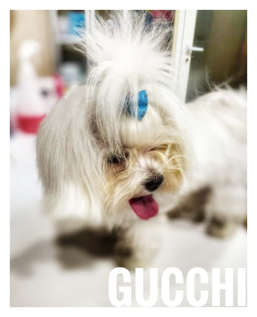 Clínica Veterinaria Zumaquera