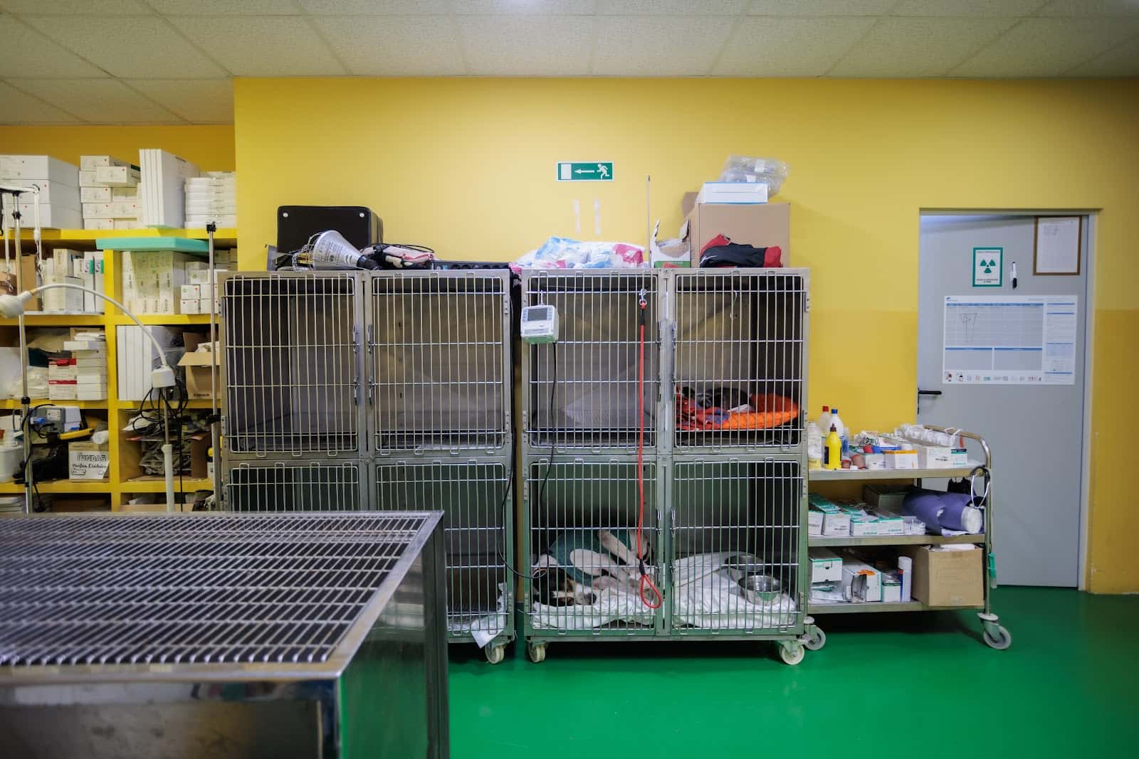 Instituto Médico Veterinario de Álava - IMVA