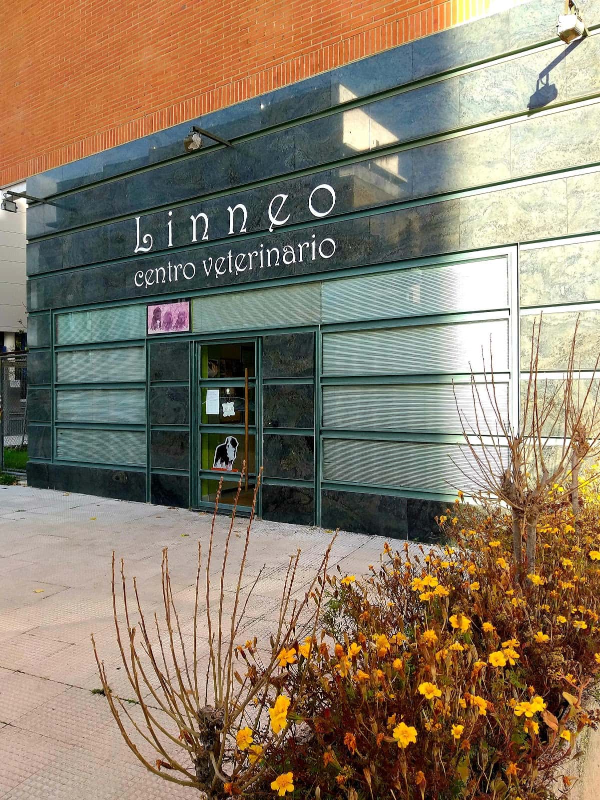 clinica veterinaria linneo veterinario clinica en miranda de ebro en burgos principalImage ADOPTA Sitios Pet Friendly