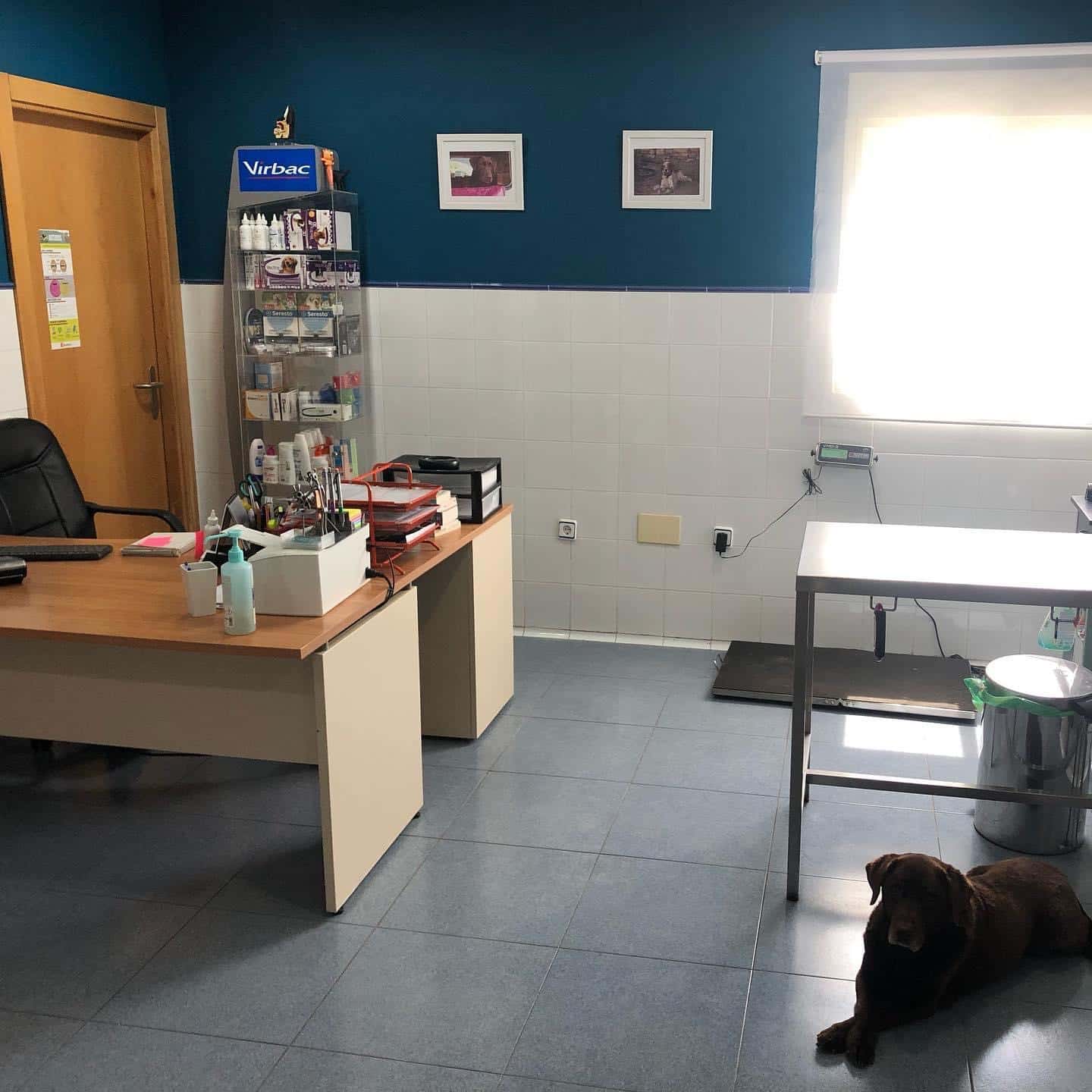 clinica veterinaria arinez veterinario clinica en ariniz en araba principalImage ADOPTA Sitios Pet Friendly