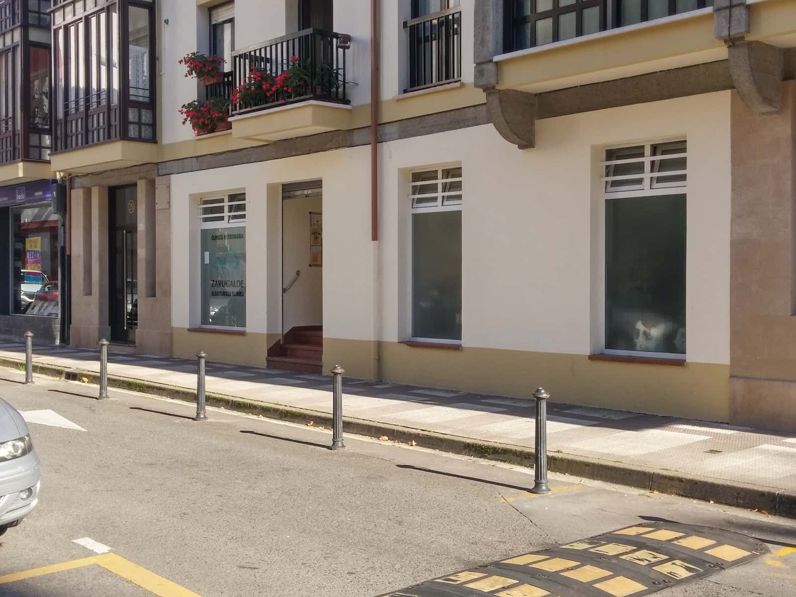 Clínica Veterinaria Zarugalde