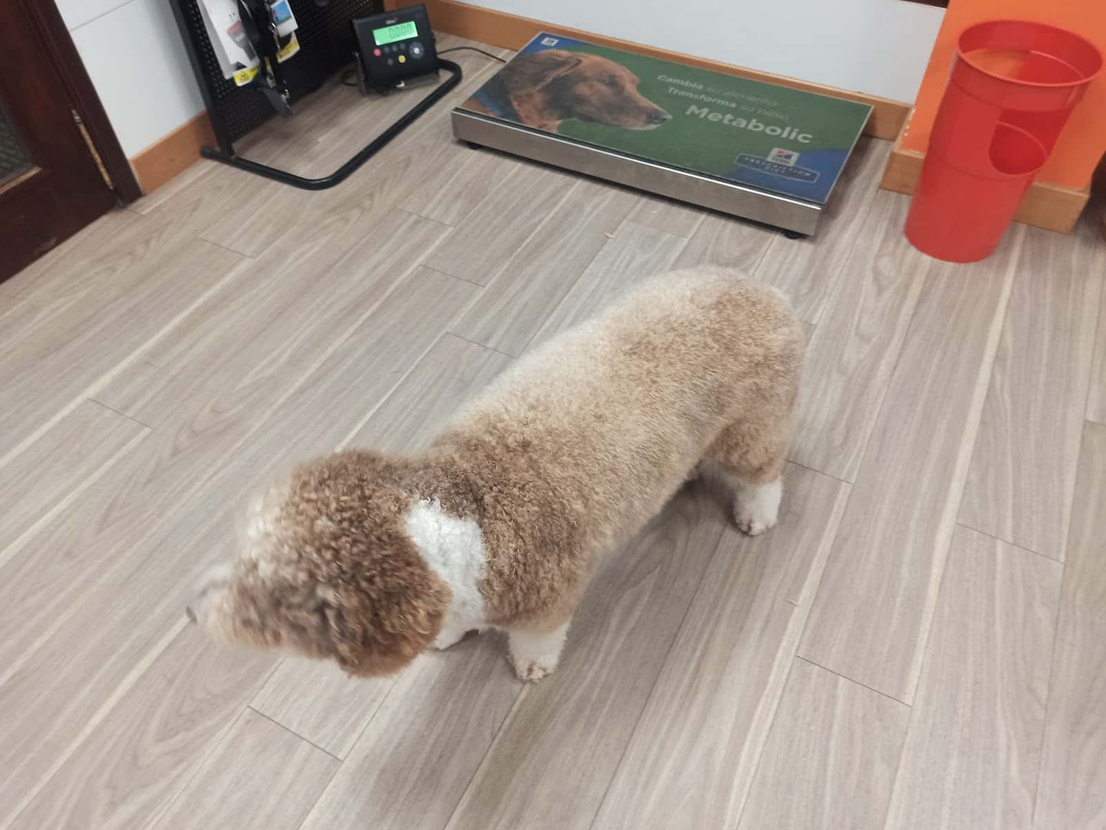 Clínica Veterinaria Zaunka