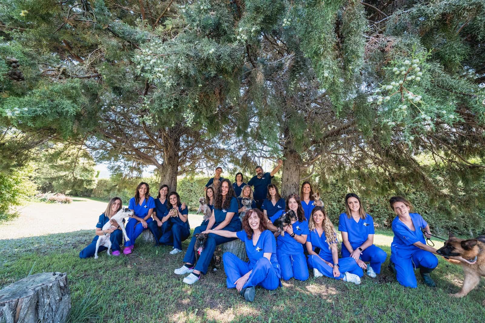 Clinica Veterinaria Nanclares De La Oca