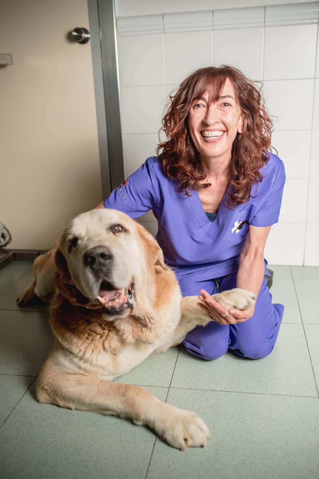 Clinica Veterinaria Nanclares De La Oca
