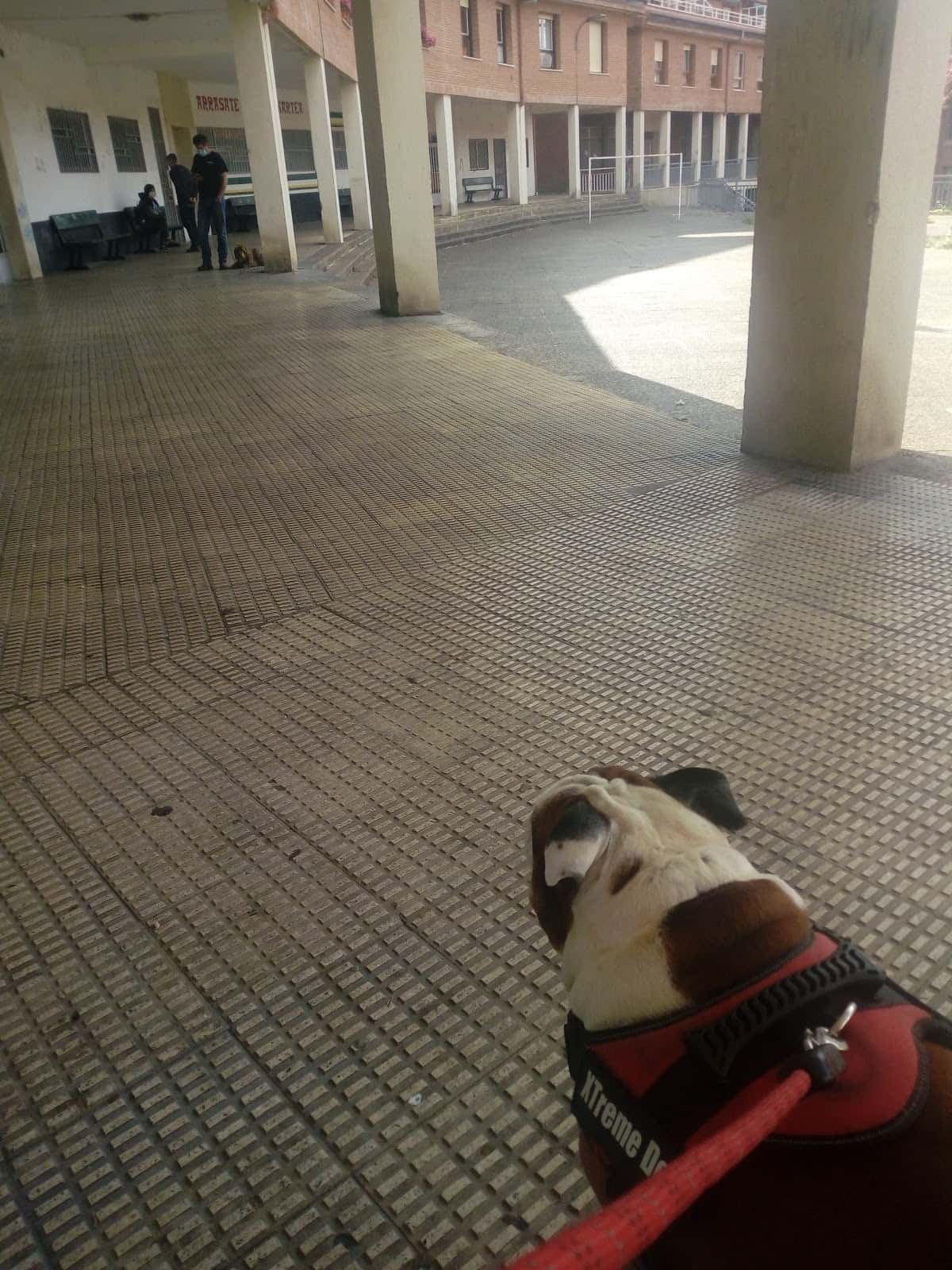 Clínica Veterinaria Altamira