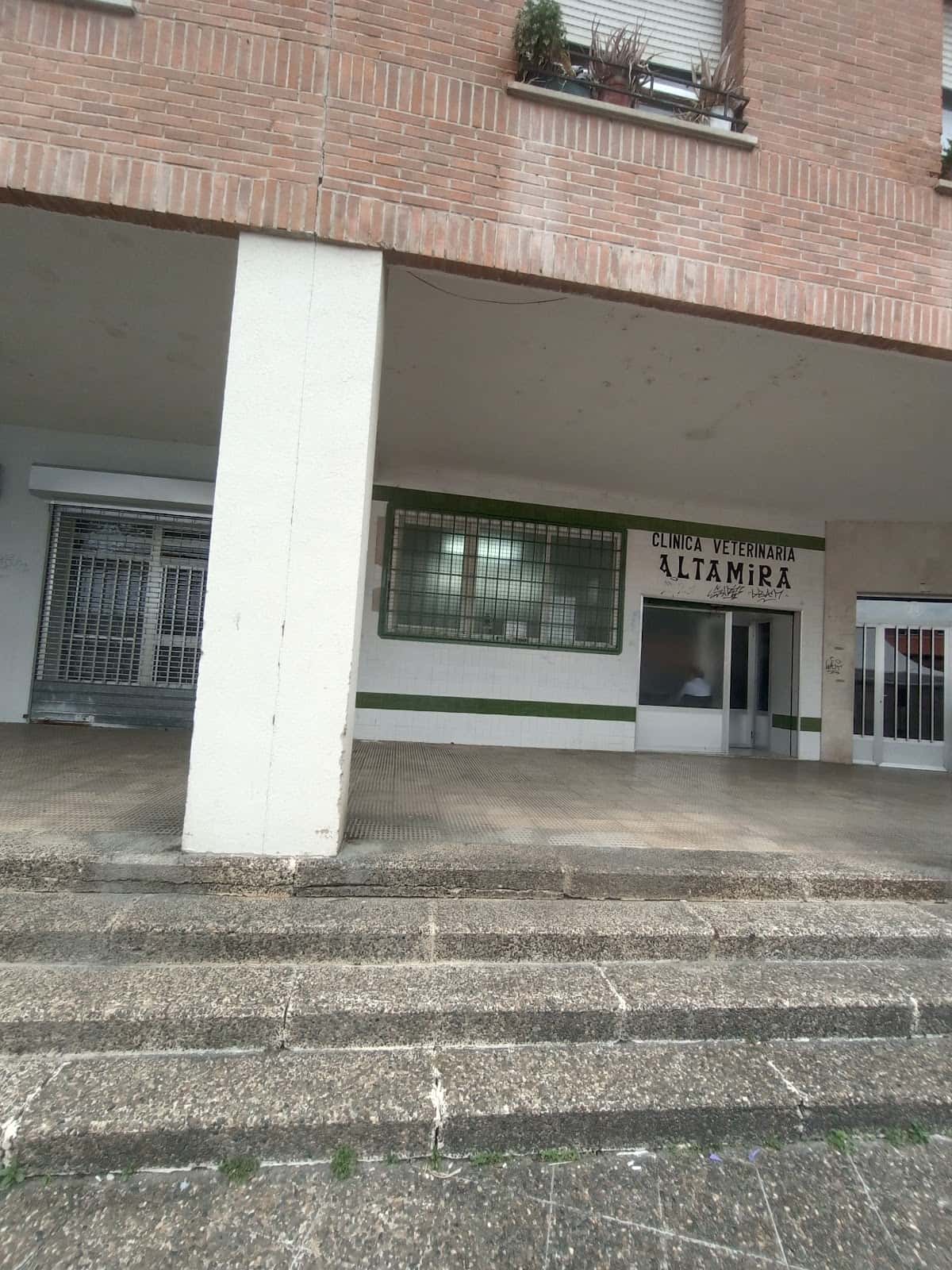 clinica veterinaria altamira veterinario clinica en arrasate en gipuzkoa principalImage ADOPTA Sitios Pet Friendly