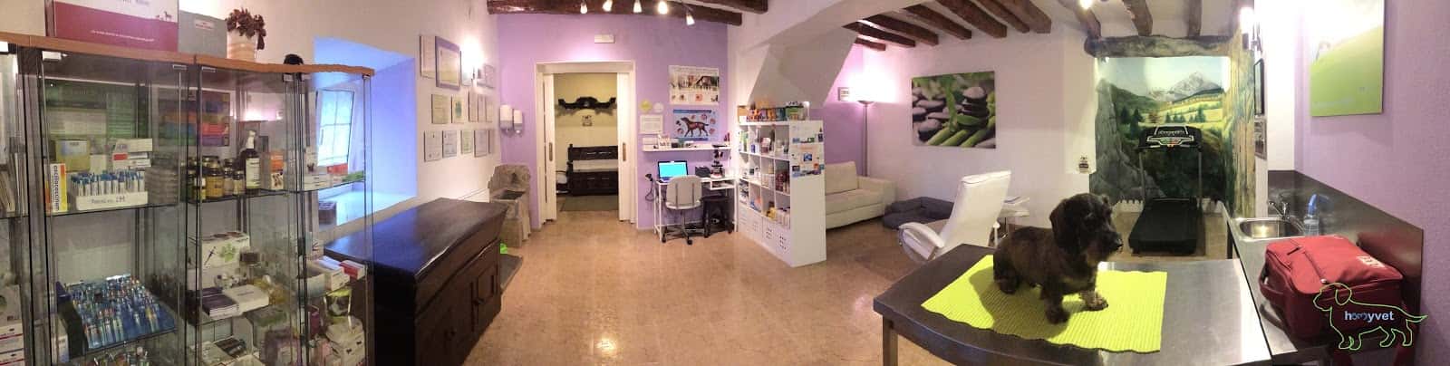 homyvet veterinaria integrativa   veterinaria natural en bizkaia veterinario centro en manaria en bizkaia principalImage ADOPTA Sitios Pet Friendly