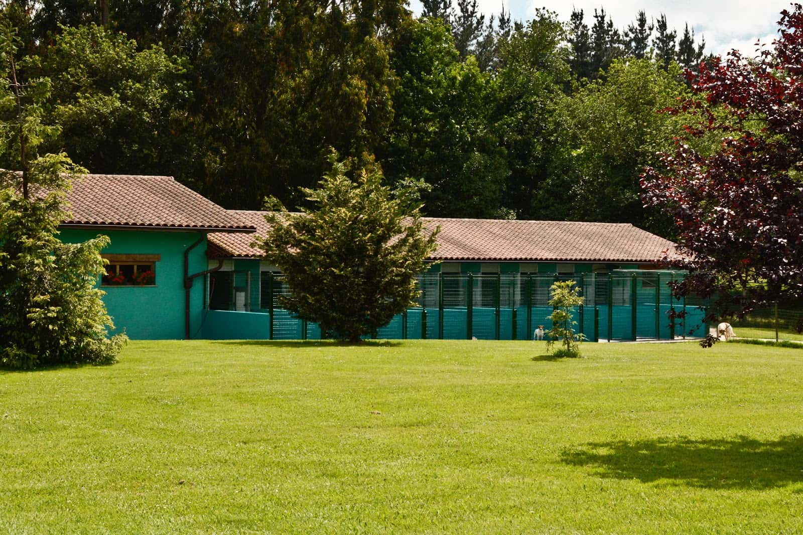 centro clinico veterinario del duranguesado veterinario clinica en durango en bizkaia principalImage ADOPTA Sitios Pet Friendly