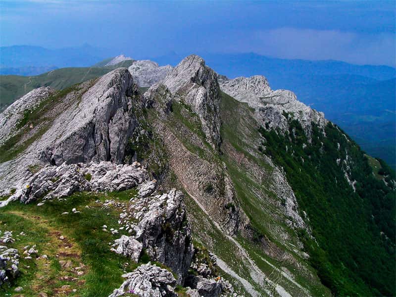 Aloña