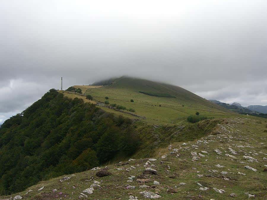 Aloña
