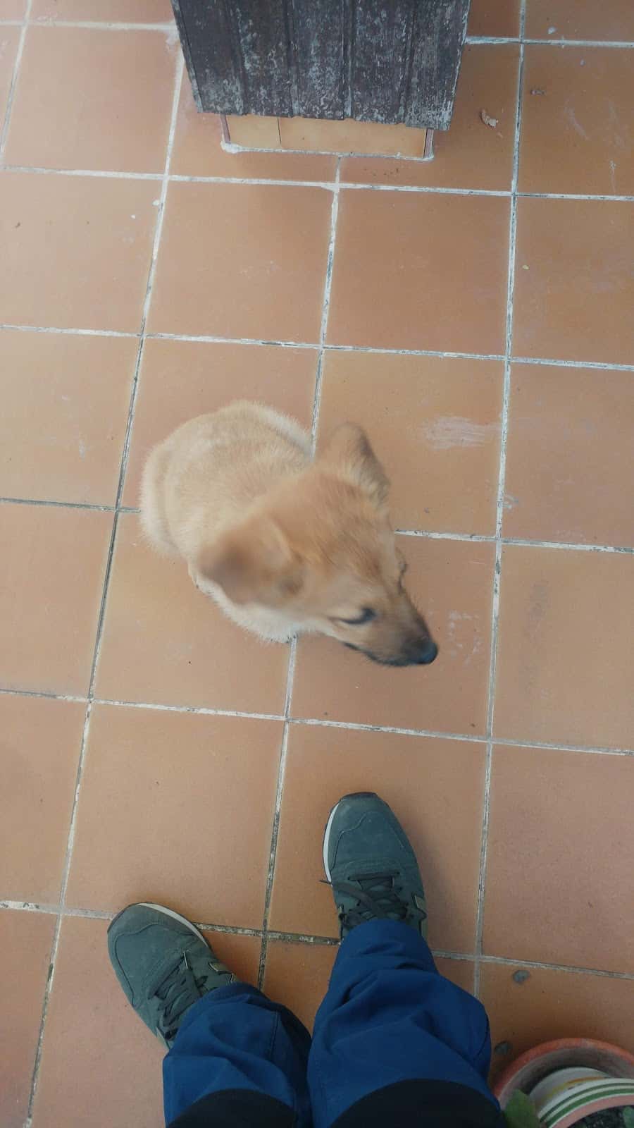 Centro Veterinario Mervet Valle de Mena