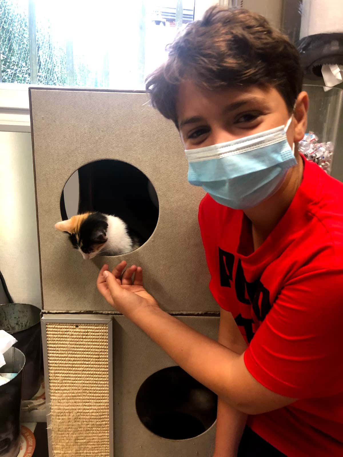 Clinica Veterinaria Mendieta