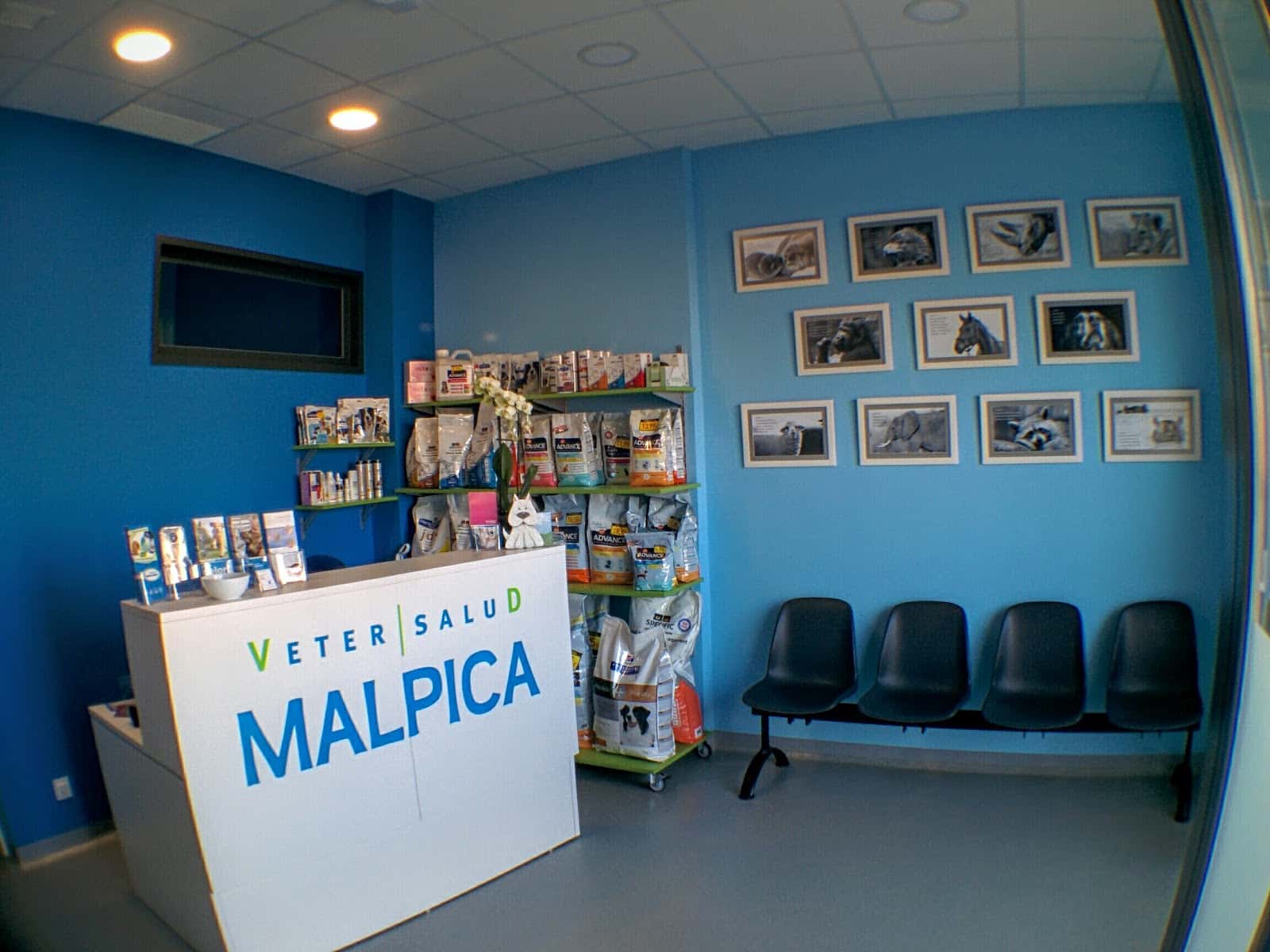 Centro Veterinario Malpica