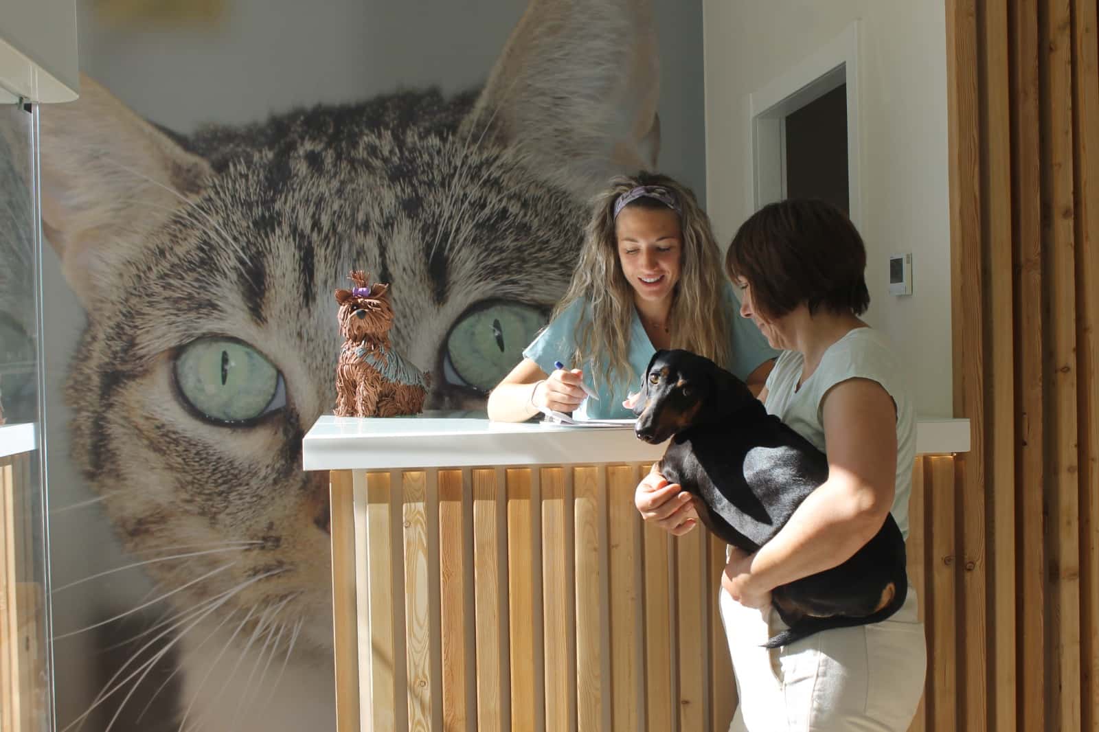 Clínica Veterinaria Valls