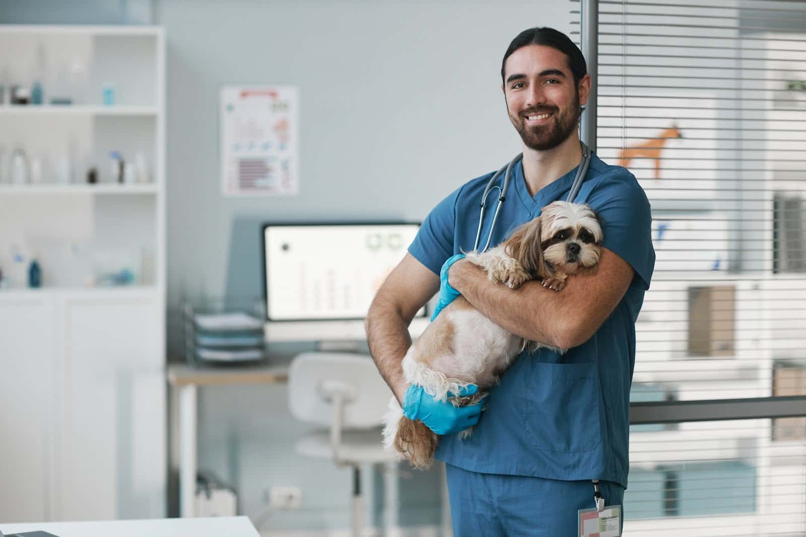 URQUIZA CLINICA VETERINARIA