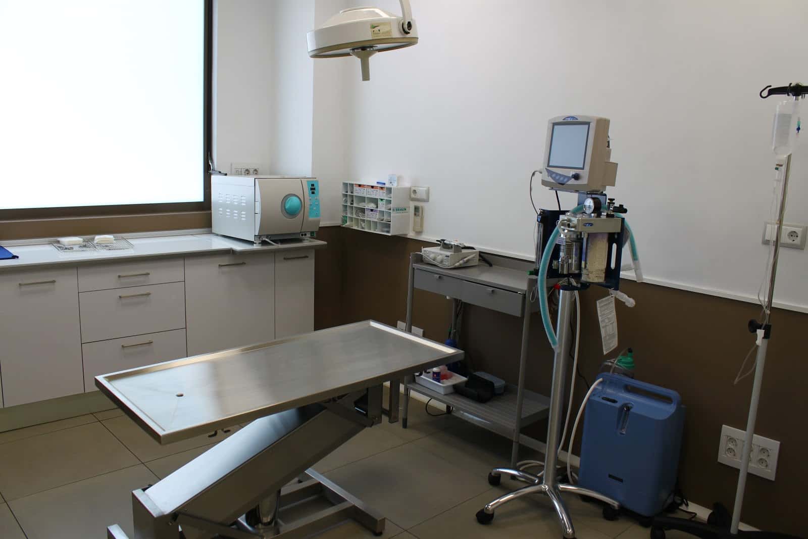 Bustillo Servicios Veterinarios