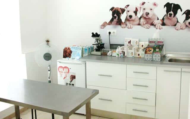 Gallarza Centro Veterinario