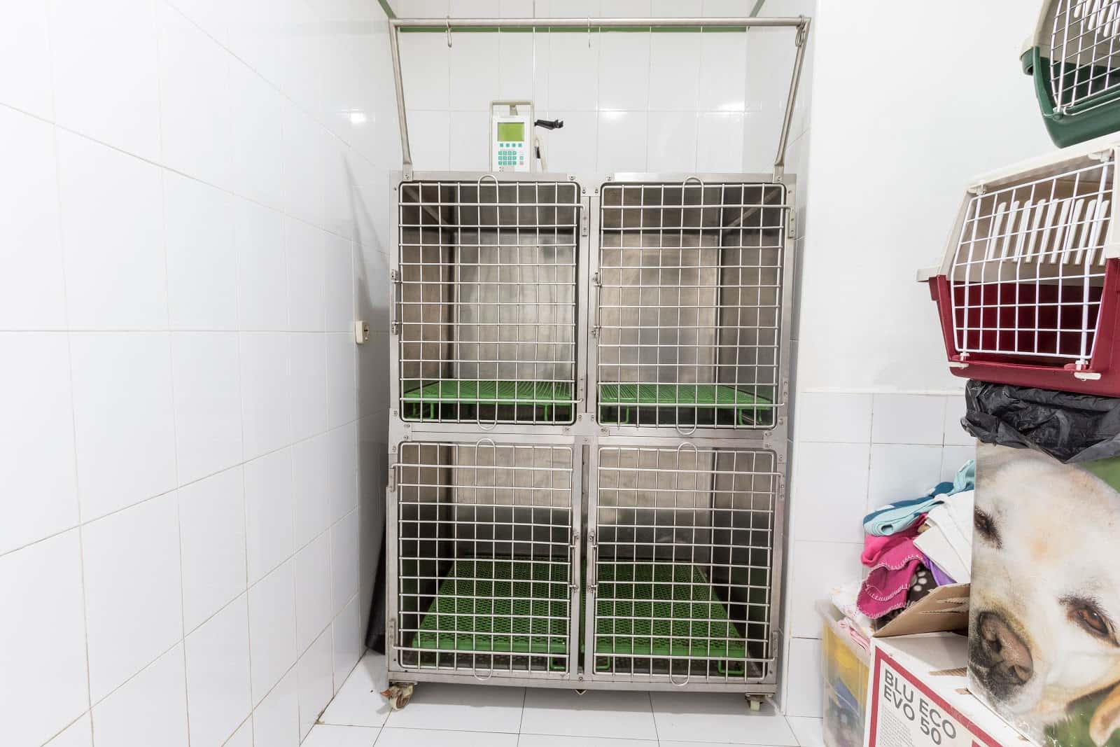 Hospital veterinario Elkano "Grupo Abereen Klinikak"