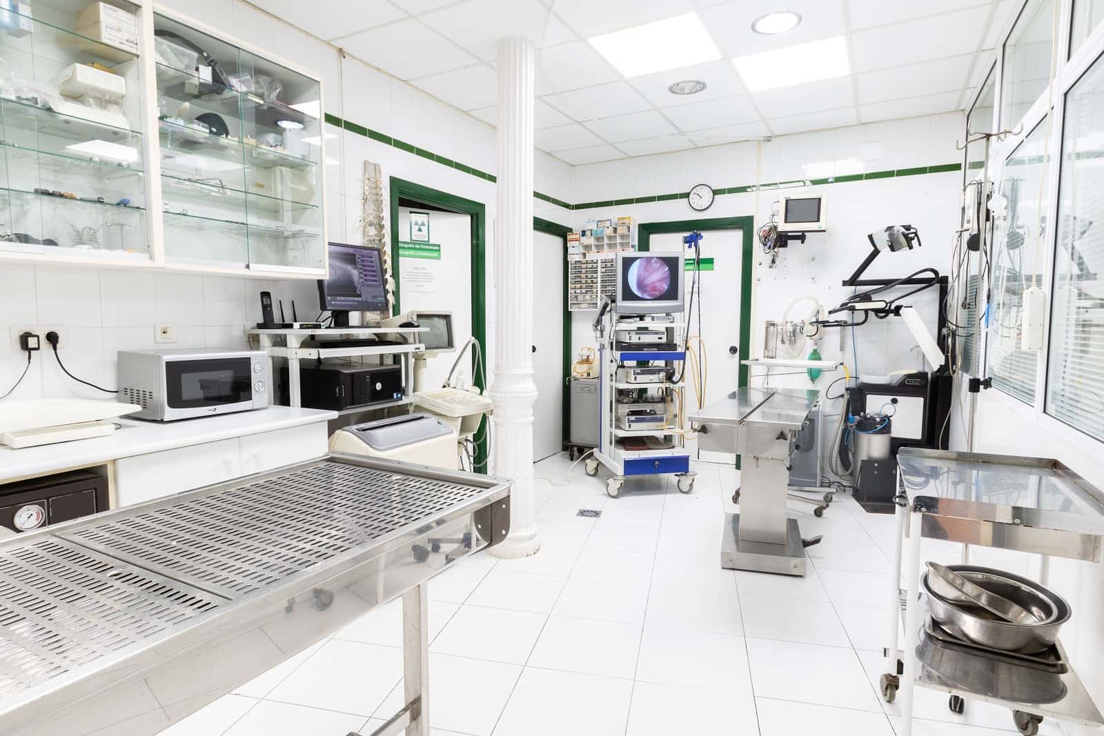 Hospital veterinario Elkano "Grupo Abereen Klinikak"